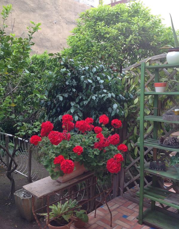 Carrer Dels Horts Appartement Alghero Buitenkant foto