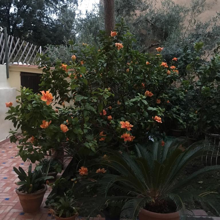 Carrer Dels Horts Appartement Alghero Buitenkant foto